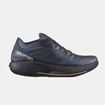 Picture of SALOMON PHANTASM